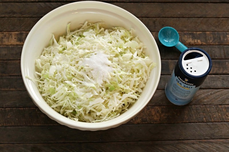 Add salt and cabbage to large bowl.