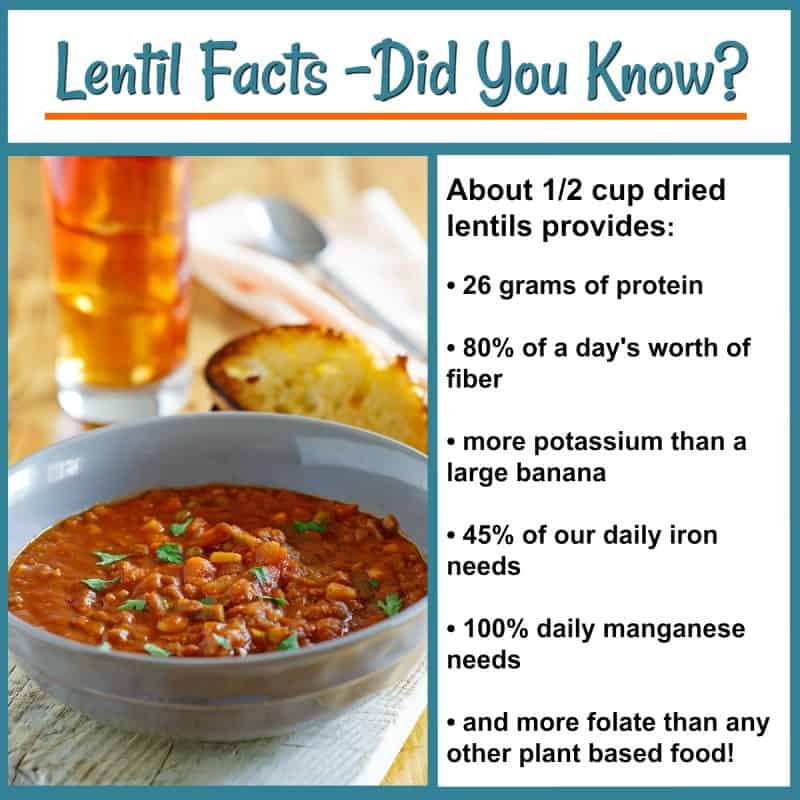Lentil facts.
