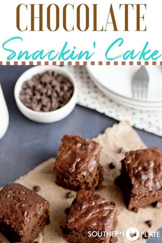 Chocolate Snacking Cake from SouthernPlate