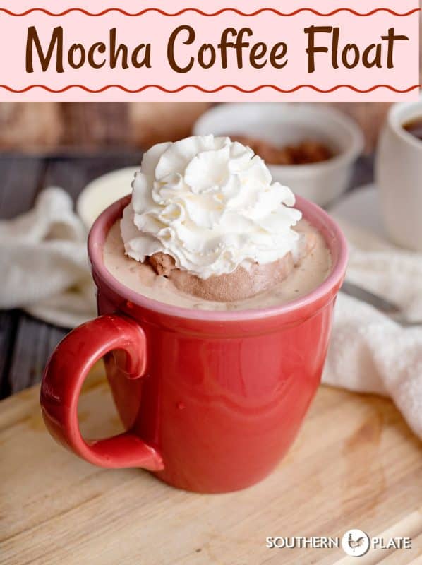 Mocha coffee float