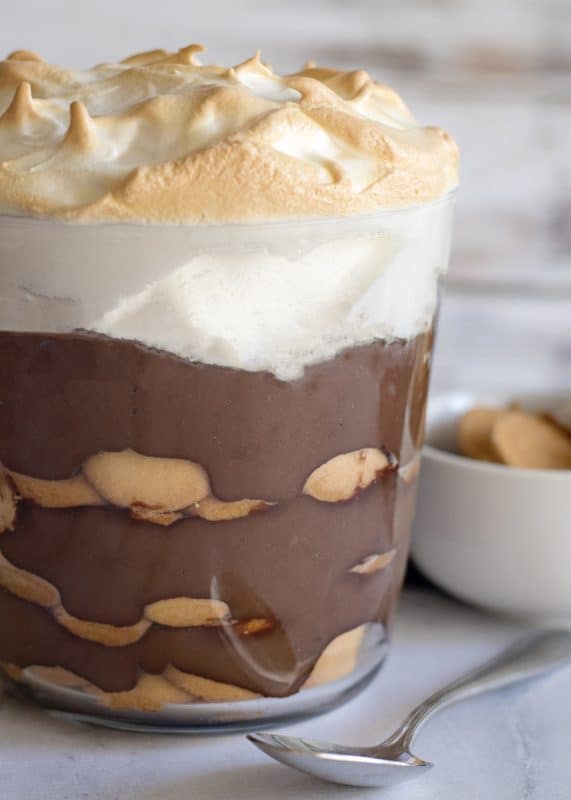 Complete homemade chocolate pudding with toasted meringue on top.