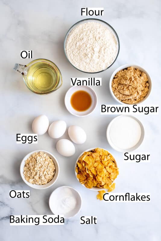 Labeled recipe ingredients for dishpan cookies.