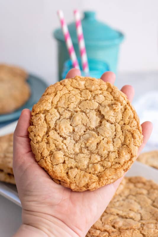 Hand holding a large dishpan cookie.