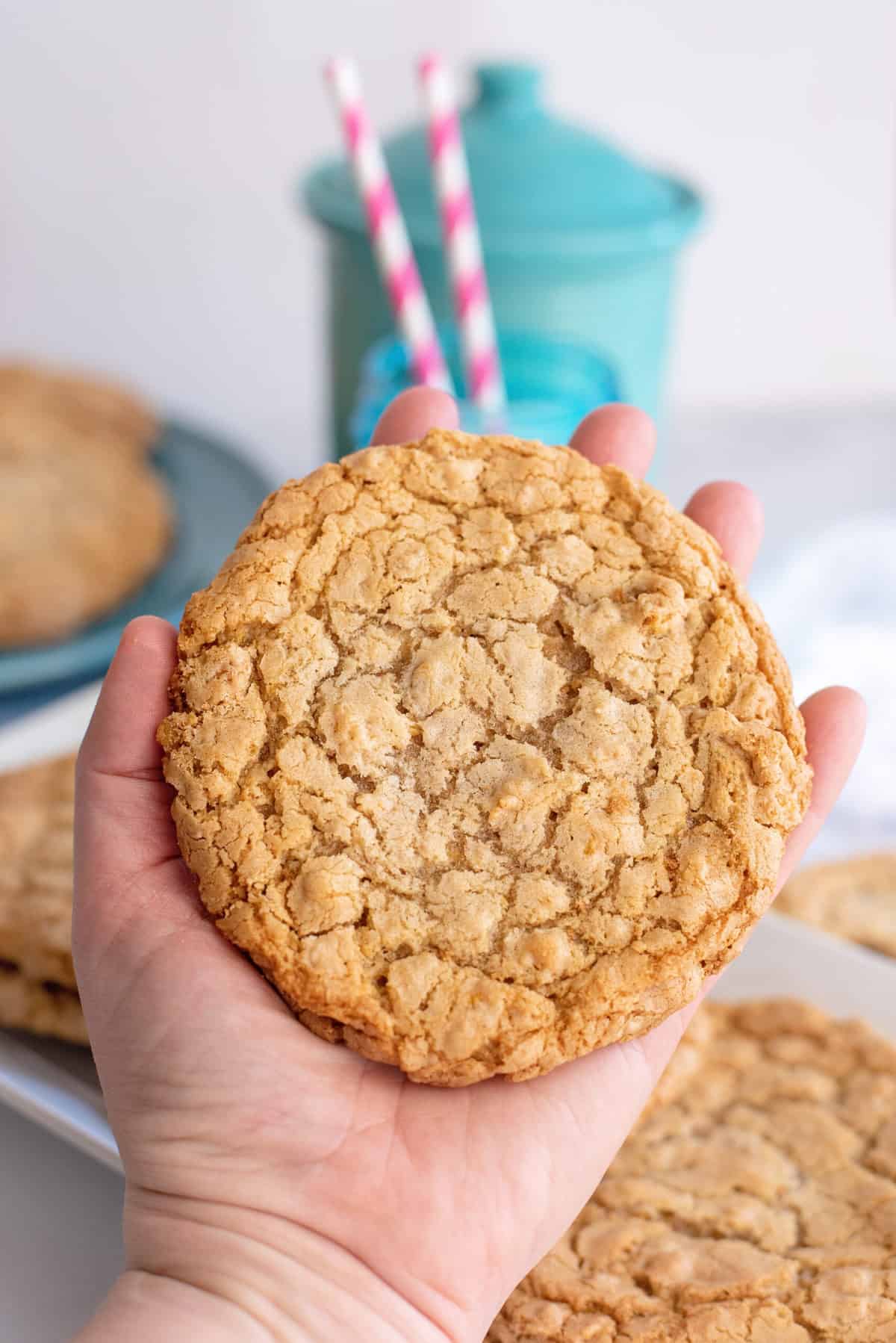 Dishpan Cookies