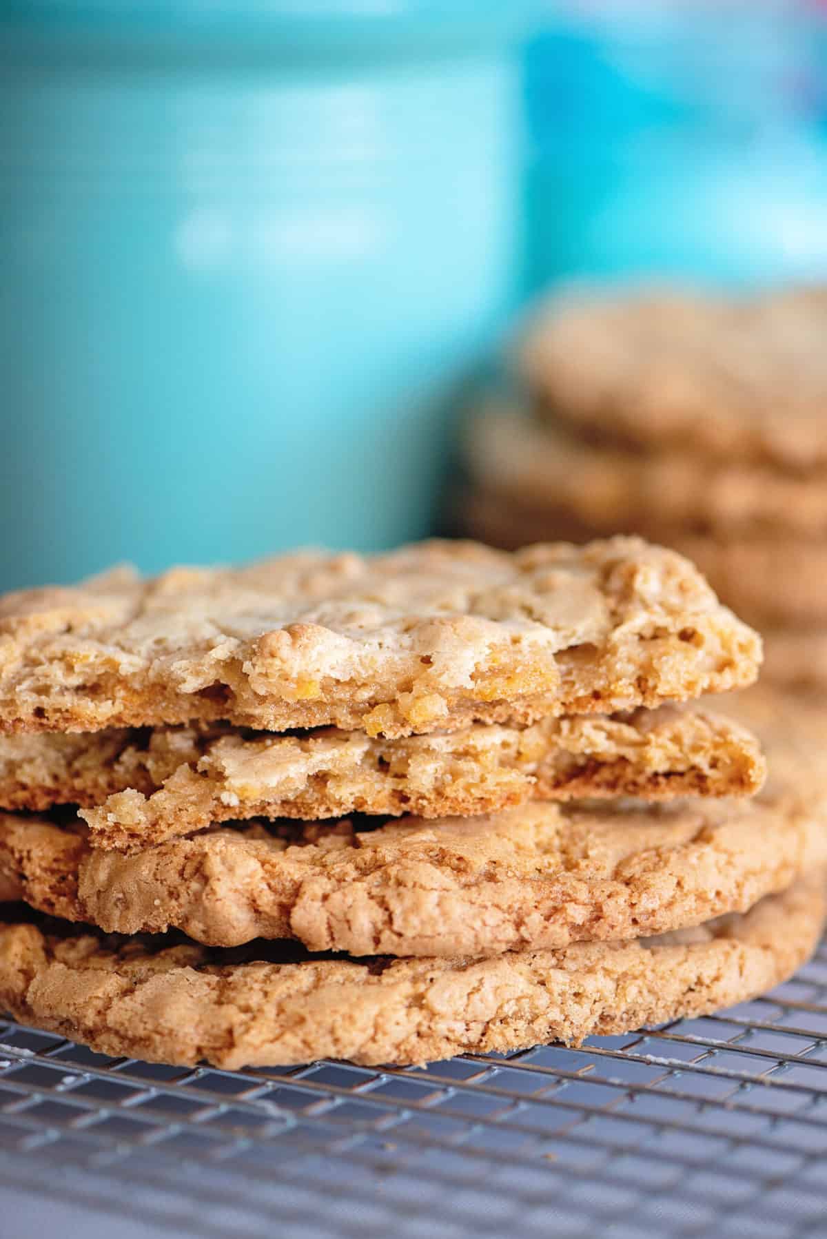 Dishpan Cookies Southern Plate