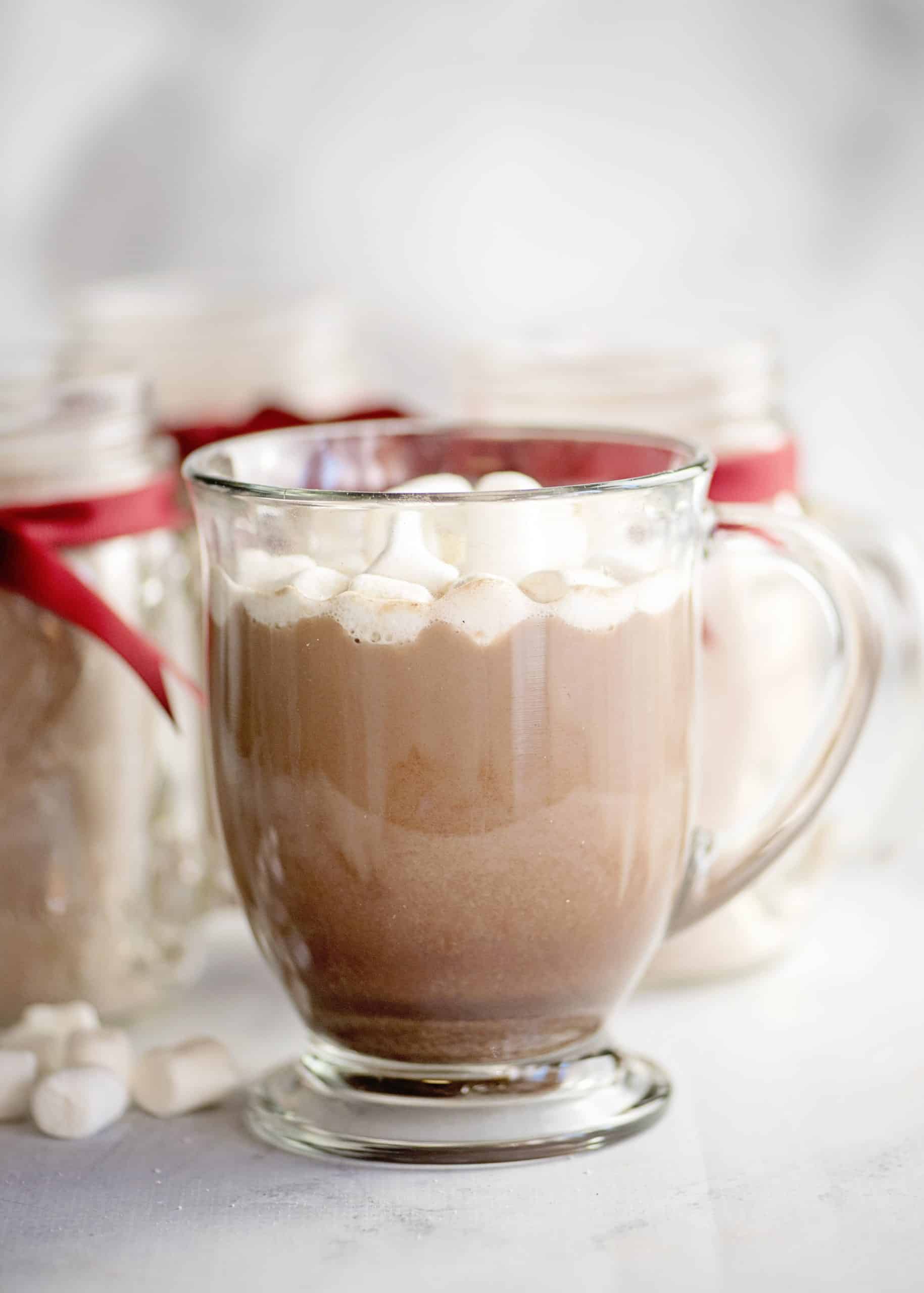Homemade Hot Chocolate Mix - Mel's Kitchen Cafe