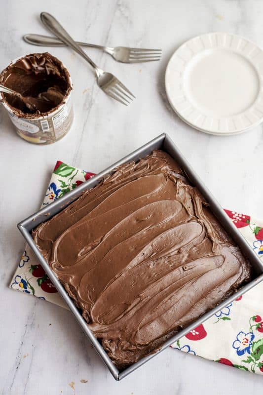 Iced Chocolate Depression Cake