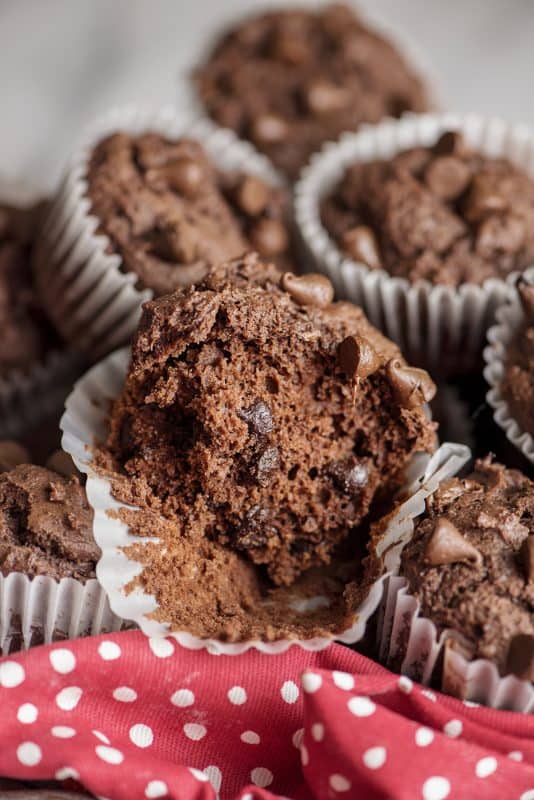 Double Chocolate Chip Muffins