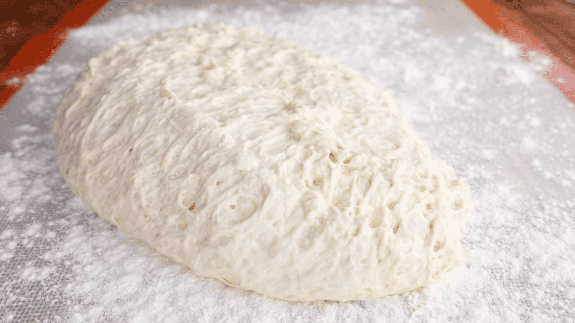 Dump bread dough onto floured surface.