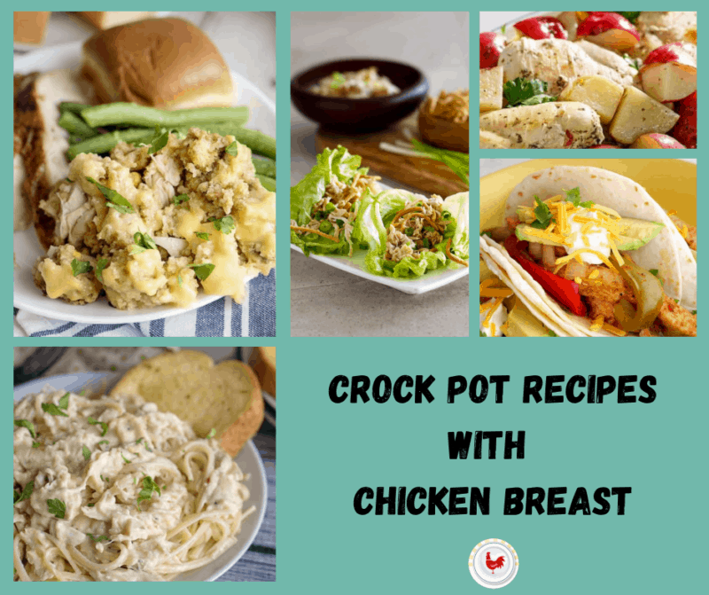 Crock Pot Recipes with Chicken Breast
