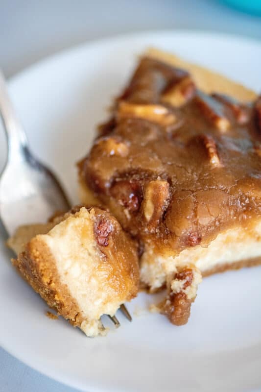 pecan pie cheesecake