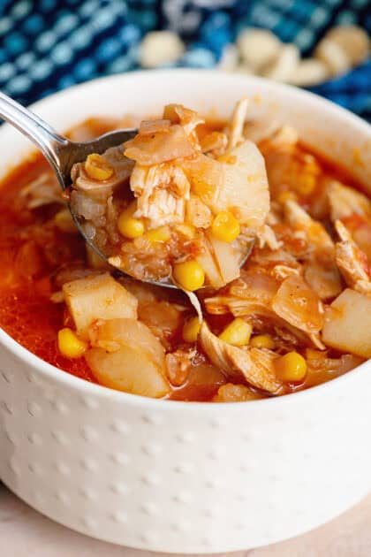 Our Family’s Southern Chicken Stew