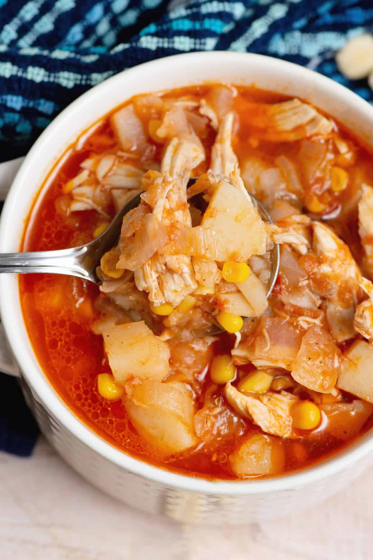 Overhead close up of Southern chicken stew with a spoon.