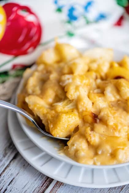 Big plate of baked cauliflower mac and cheese.