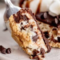Forkful of chocolate chip cheesecake.