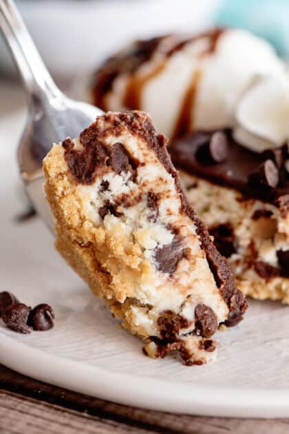 Forkful of chocolate chip cheesecake.
