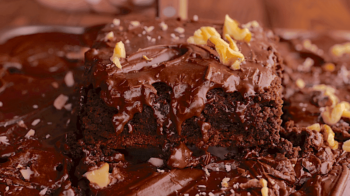 https://www.southernplate.com/wp-content/uploads/2022/02/best-brownie-slice-hero.png