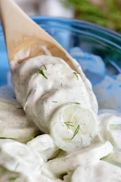 Spoonful of creamy cucumber salad.