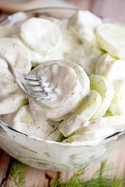 Forkful of creamy cucumber salad.
