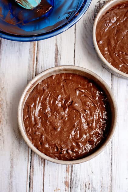 Evenly pour cake batter into prepared pans.