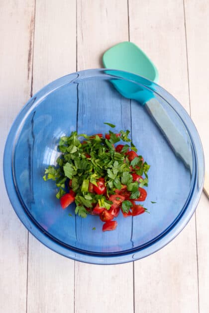 Pur parsley and tomatoes in a bowl.