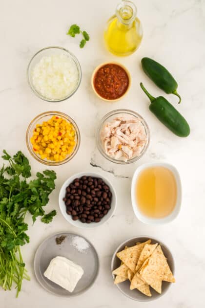 Ingredients for Southwest chicken soup.