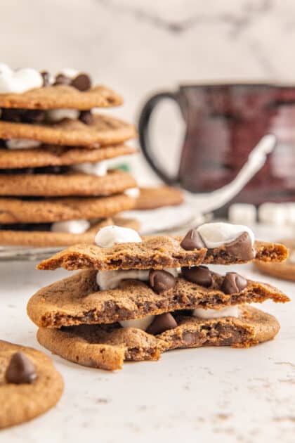 Stack of hot chocolate cookies