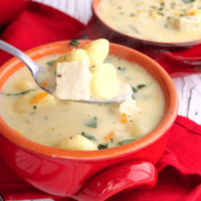 Spoonful of Olive Garden chicken gnocchi soup.