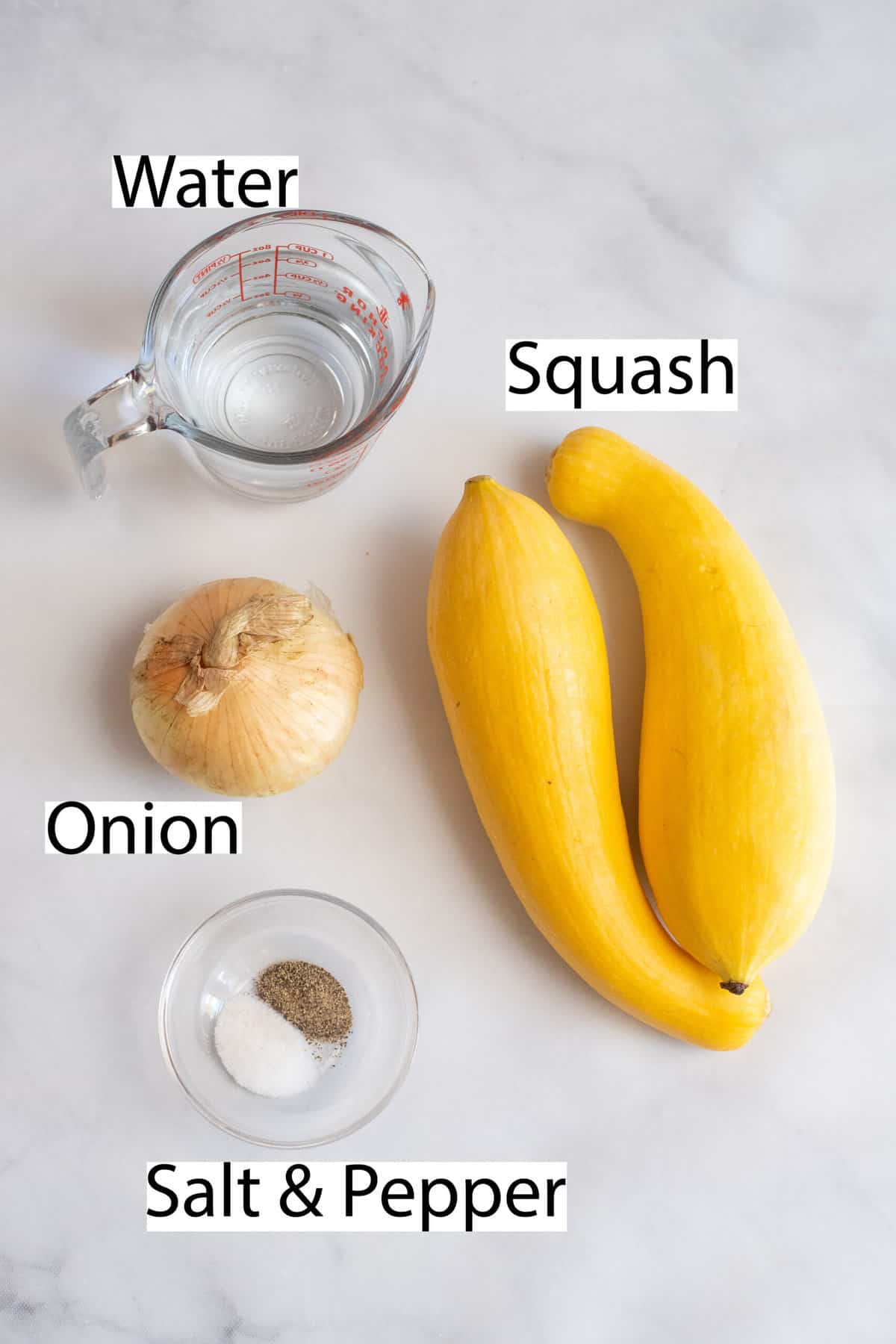 Labeled ingredients for boiled squash and onions.