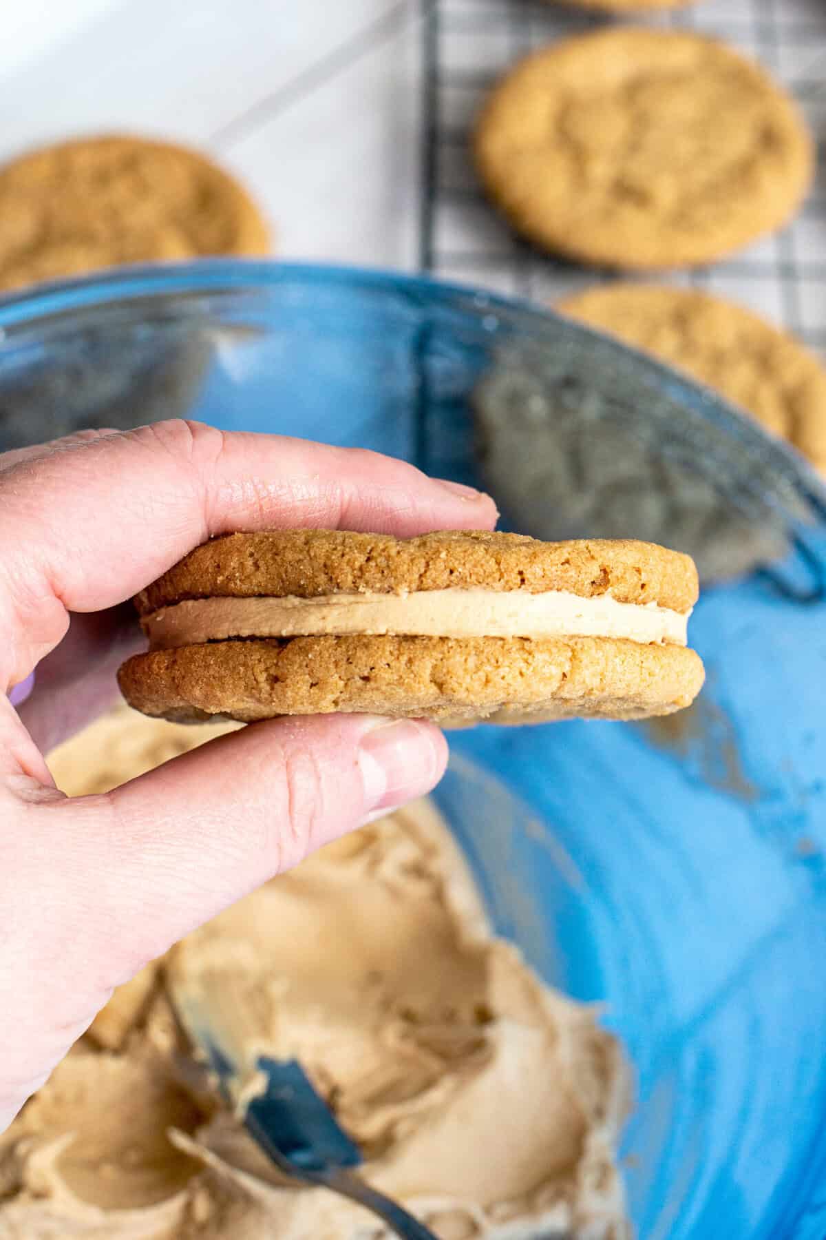 filled cookie butter sandwich cookie