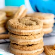 cookie butter sandwich cookies
