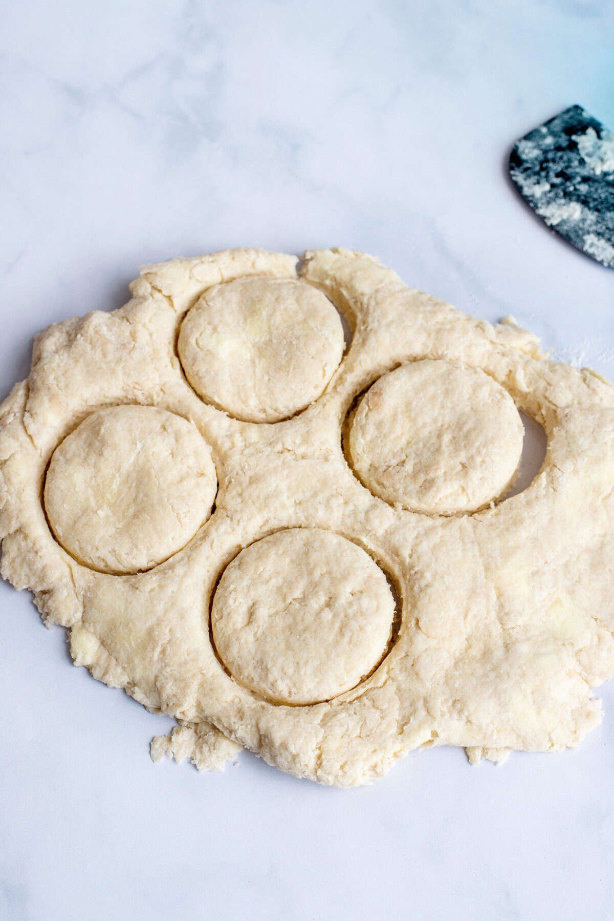 Cutting circles into biscuit dough.