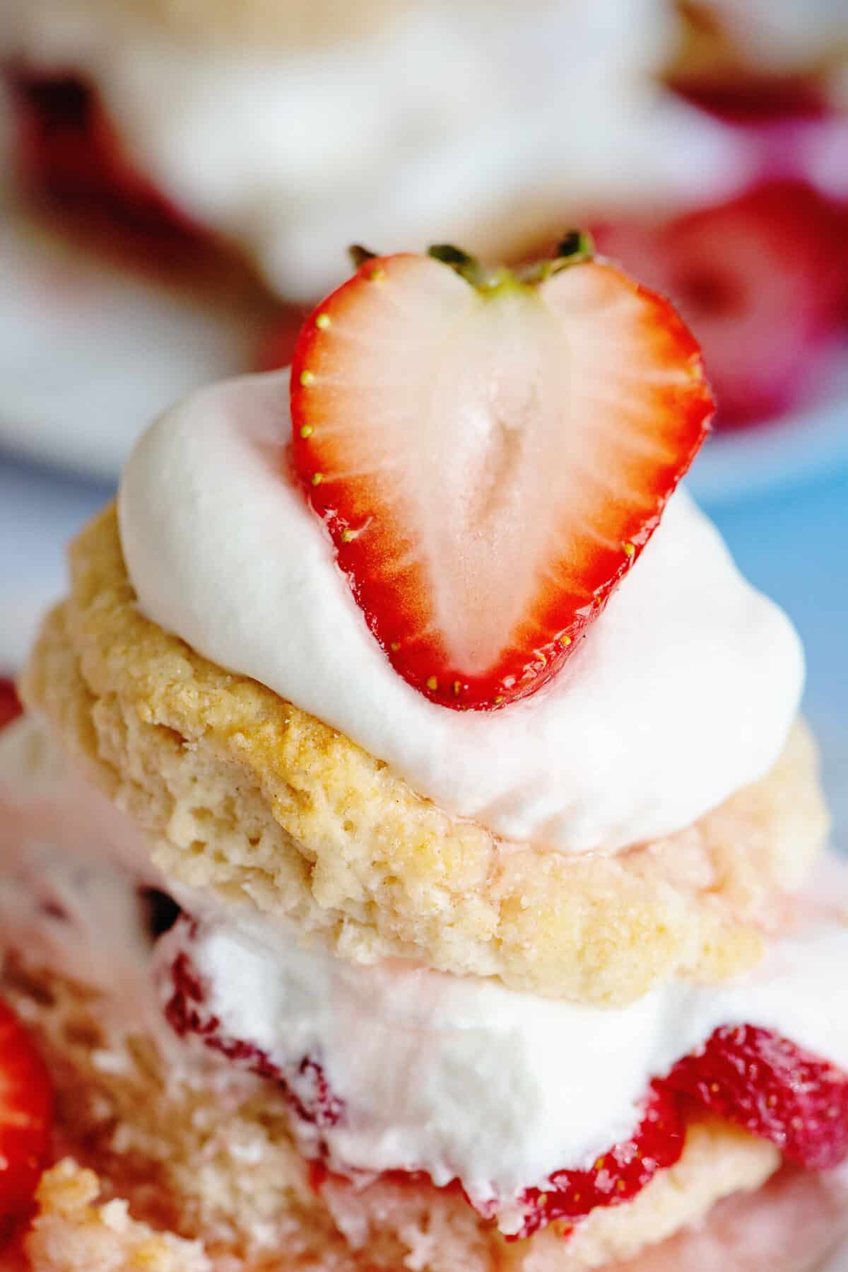 Close-up of Southern strawberry shortcake.