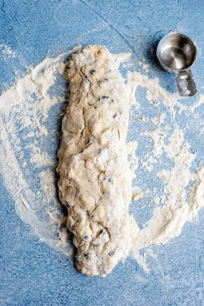 Rolled up chocolate chip biscuit dough
