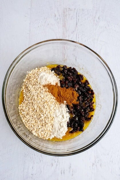 Bowl with flour, oats cinnamon, salt and raisins