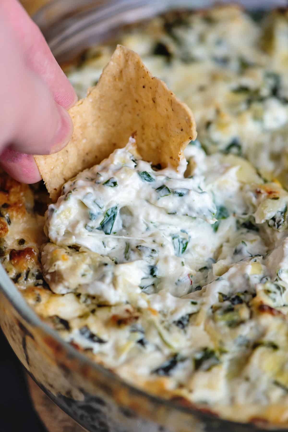 Dipping a chip into a bowl of spinach artichoke dip