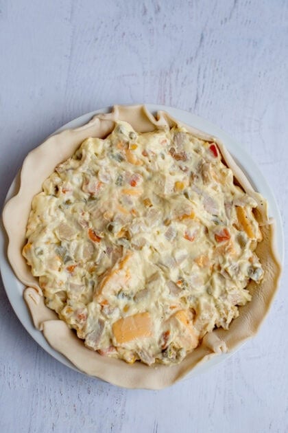 Cheesy chicken pot pie filling in pie crust