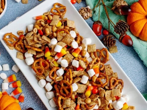 A plate of fall snack mix