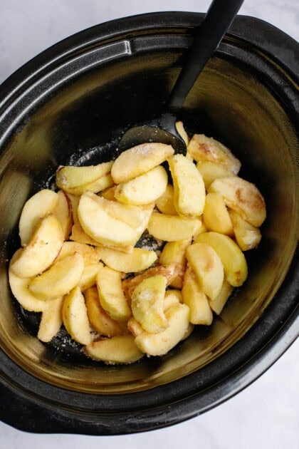 A bowl of sliced apples