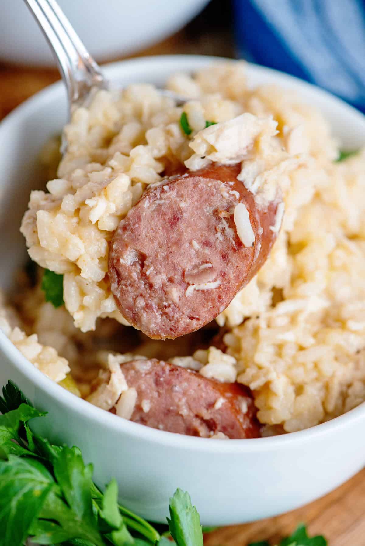 A close up of a spoonful of chicken bog