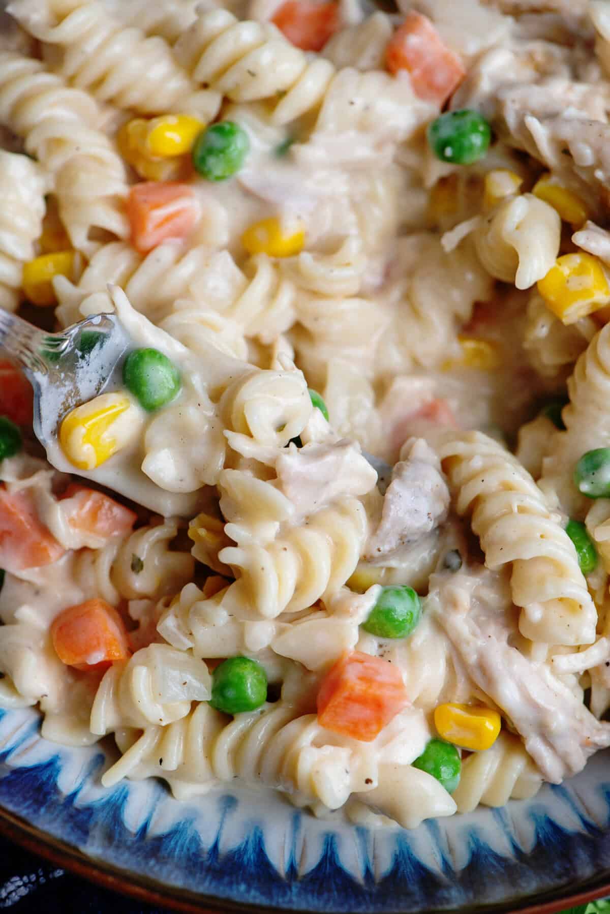 Close up of a plate of chicken pot pasta