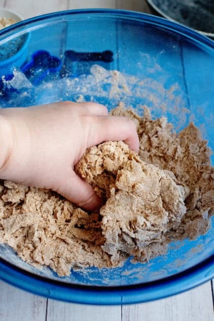 Kneading the dough for doggie biscuits