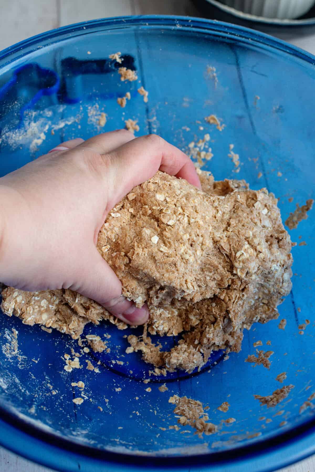 Kneading dough for the doggie biscuits after adding more water