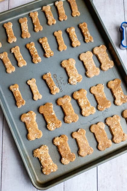 Adding the doggie biscuits to a baking sheet