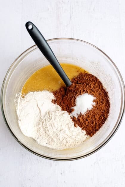 flour, cocoa powder, and salt in a mixing bowl with the wet ingredients