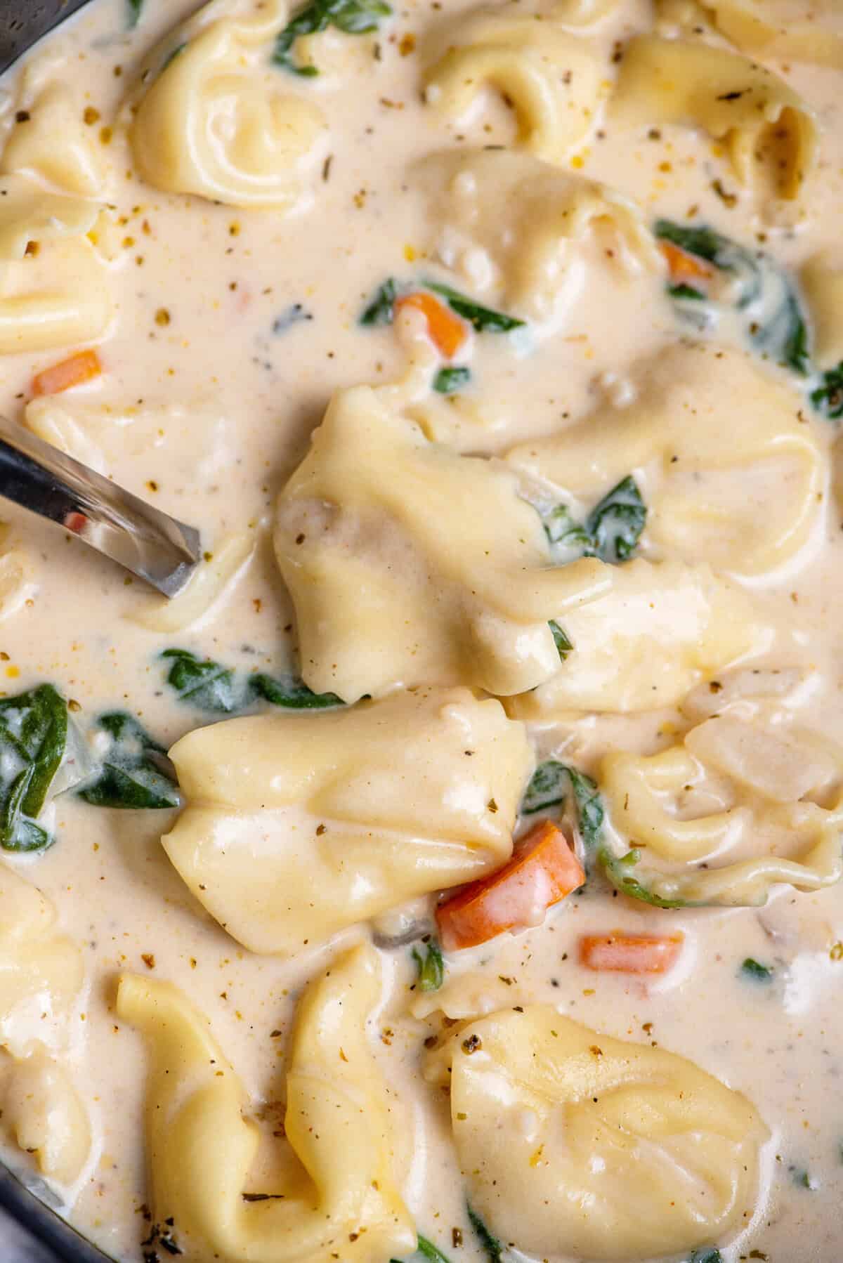 Close-up of creamy tortellini soup.